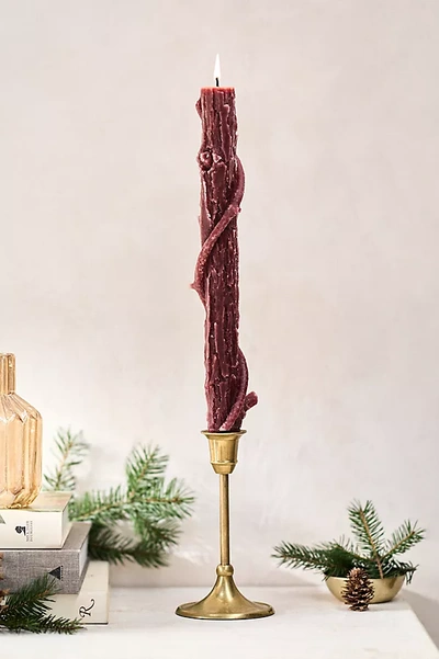 Terrain Bittersweet Oak Stick Candle In Red