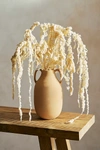Terrain Bleached Hanging Amaranthus Bunch