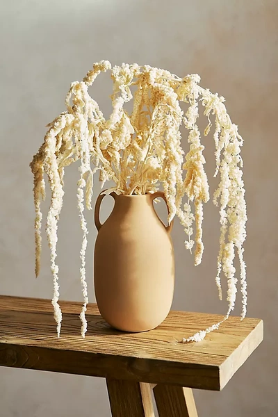 Terrain Bleached Hanging Amaranthus Bunch In Neutral