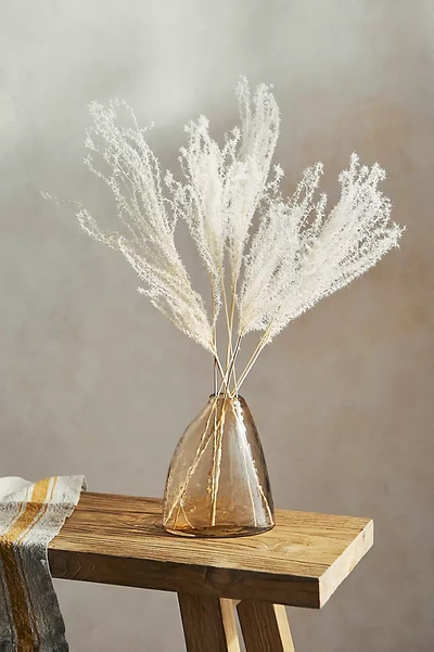 Terrain Bleached Miscanthus Bunch In Transparent