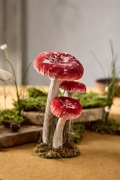 Terrain Velvet Mushrooms, Large In Red