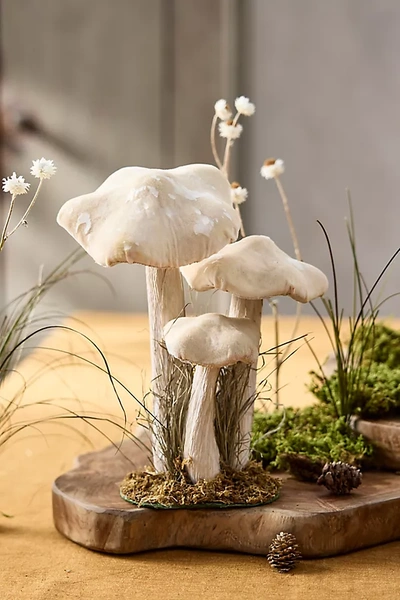 Terrain Velvet Mushrooms, Set Of 3 In White