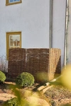 Terrain Willow Screen