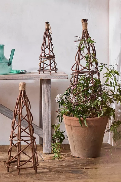 Terrain Woven Willow Mini Garden Obelisk