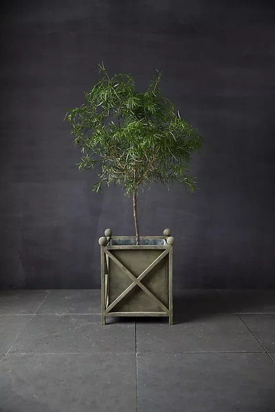 Terrain Wrought Iron Cross Bar Planter In Green
