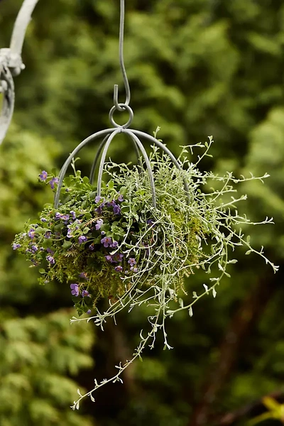 Terrain Zinc Sphere Hanging Basket, 10" In Green