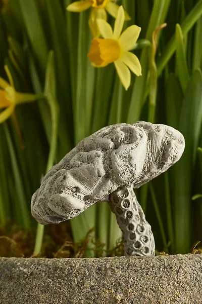 Terrain Brain Coral Mushroom Concrete Stake In Multi