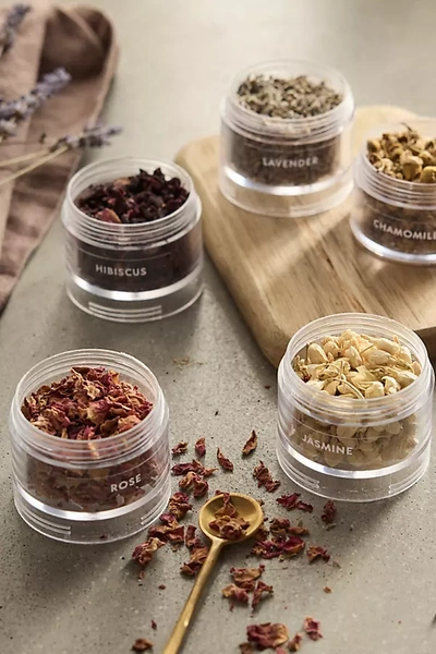 Terrain Bouquet De Fleurs Seasonings, Set Of 5 In Multi