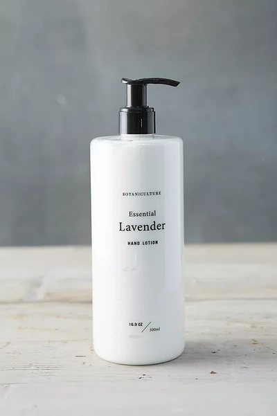 Terrain Botaniculture Essential Lavender Hand Lotion In Multicolor