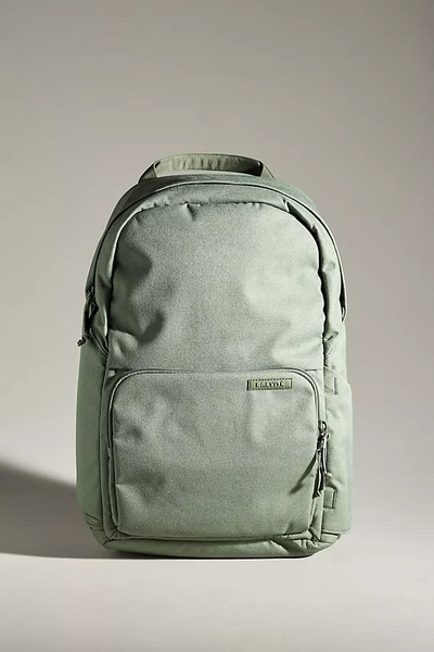 Brevitē Backpack In Multicolor