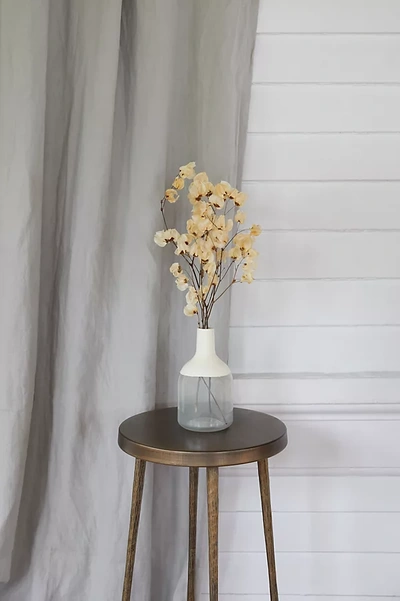 Terrain Bougainvillea Blossom Bunch In Gray