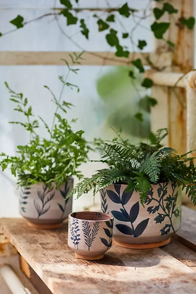 Terrain Ceramic Botanics Footed Planter