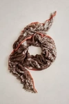 Terrain Celeste Floral Border Scarf In Brown