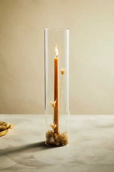 Terrain Chimney Candle Shade, 18" In Multicolor