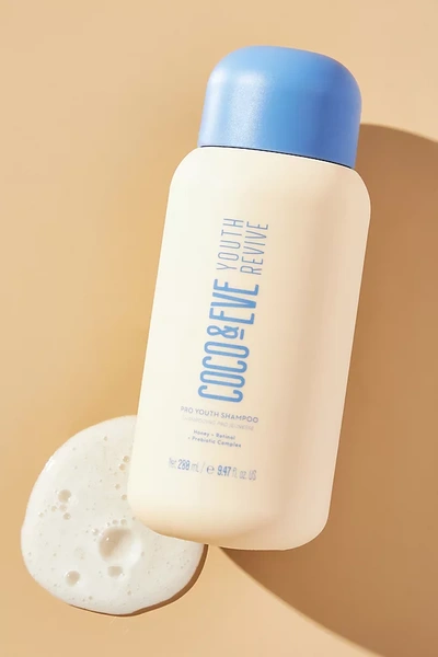 Coco & Eve Pro Youth Shampoo In Blue