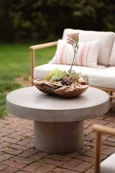 Terrain Concrete Pedestal Coffee Table In White