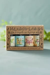 Terrain Daydream Simple Syrups, Set Of 4