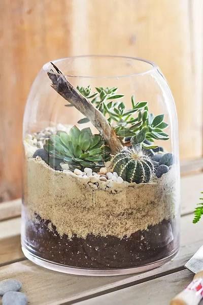 Terrain Domed Terrarium