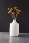 Terrain Dried Yarrow Bunch