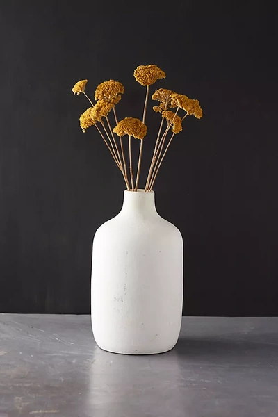 Terrain Dried Yarrow Bunch In White