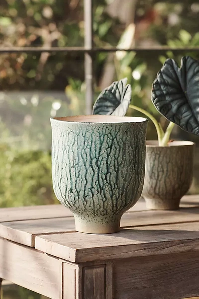 Terrain Drippy Ceramic Tulip Planter, 7" In Green