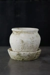 Terrain Earth Fired Clay White Curve Pots + Saucers, 3 Sizes Set