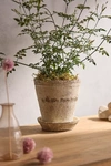 Terrain Earth Fired Clay Ridge Top Pot + Saucer Set