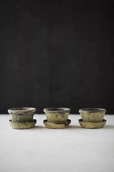 Terrain Earth Fired Clay Thin Rim Pot + Saucer, Set Of 3 In Green