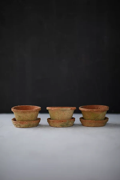 Terrain Earth Fired Clay Thin Rim Pot + Saucer, Set Of 3 In Brown