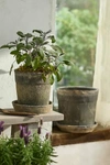 Terrain Earth Fired Clay Wide Rim Pot + Saucer Set