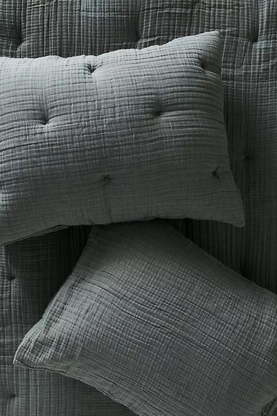 Anthropologie Elysian Cross-dyed Cotton Gauze Shams, Set Of 2