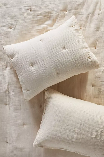 Anthropologie Elysian Cross-dyed Cotton Gauze Shams, Set Of 2