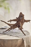 Terrain Eucalyptus Wood Stump, 16-20"