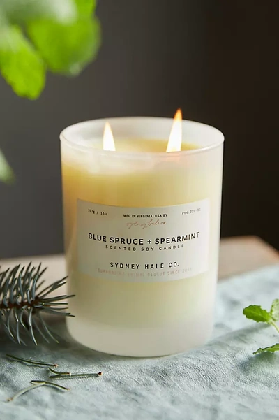 Terrain Sydney Hale Candle, Blue Spruce + Spearmint In Neutral