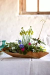 Terrain Teak Root Boat Pot, Large