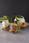 Terrain Teak Plant Stand, Short
