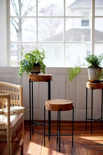 Terrain Teak Top + Iron Base Plant Stand