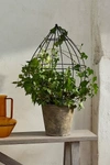 Terrain Teardrop Iron Trellis Frame