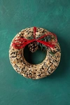 Terrain Bird Seed Wreath