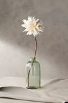 Terrain Faux Single Dahlia Stem