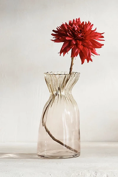 Terrain Faux Single Dahlia Stem In Transparent