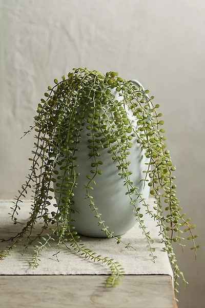 Terrain Faux Trailing Fern In Green