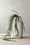 Terrain Faux Trailing Succulent