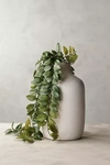Terrain Faux Trailing Leaf Spray