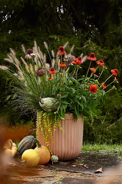 Terrain Fiber Concrete Barrel Pot, 16" In Pink