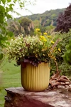 Terrain Fiber Concrete Barrel Pot, 16" In Yellow