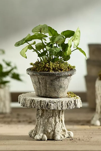 Terrain Faux Bois Stand In Gray