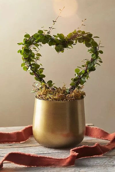 Terrain Angel Vine Heart Topiary, Gold Metal Pot