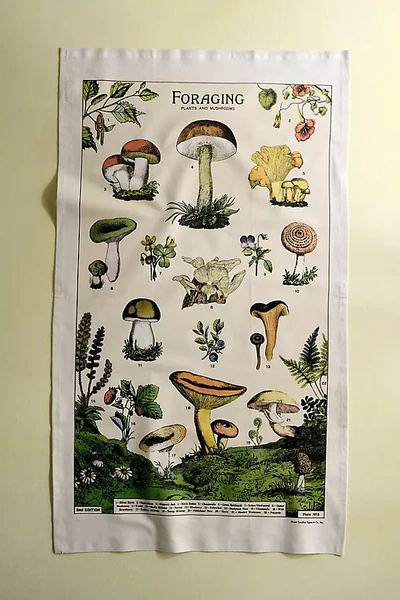 Terrain Foraging Cotton Dish Towel In Multi