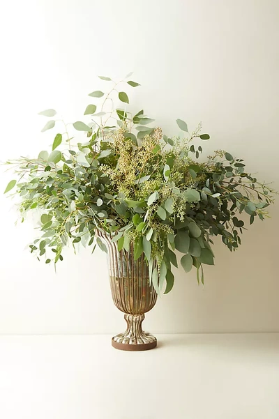 Terrain Fresh Assorted Eucalyptus Bunch In Green